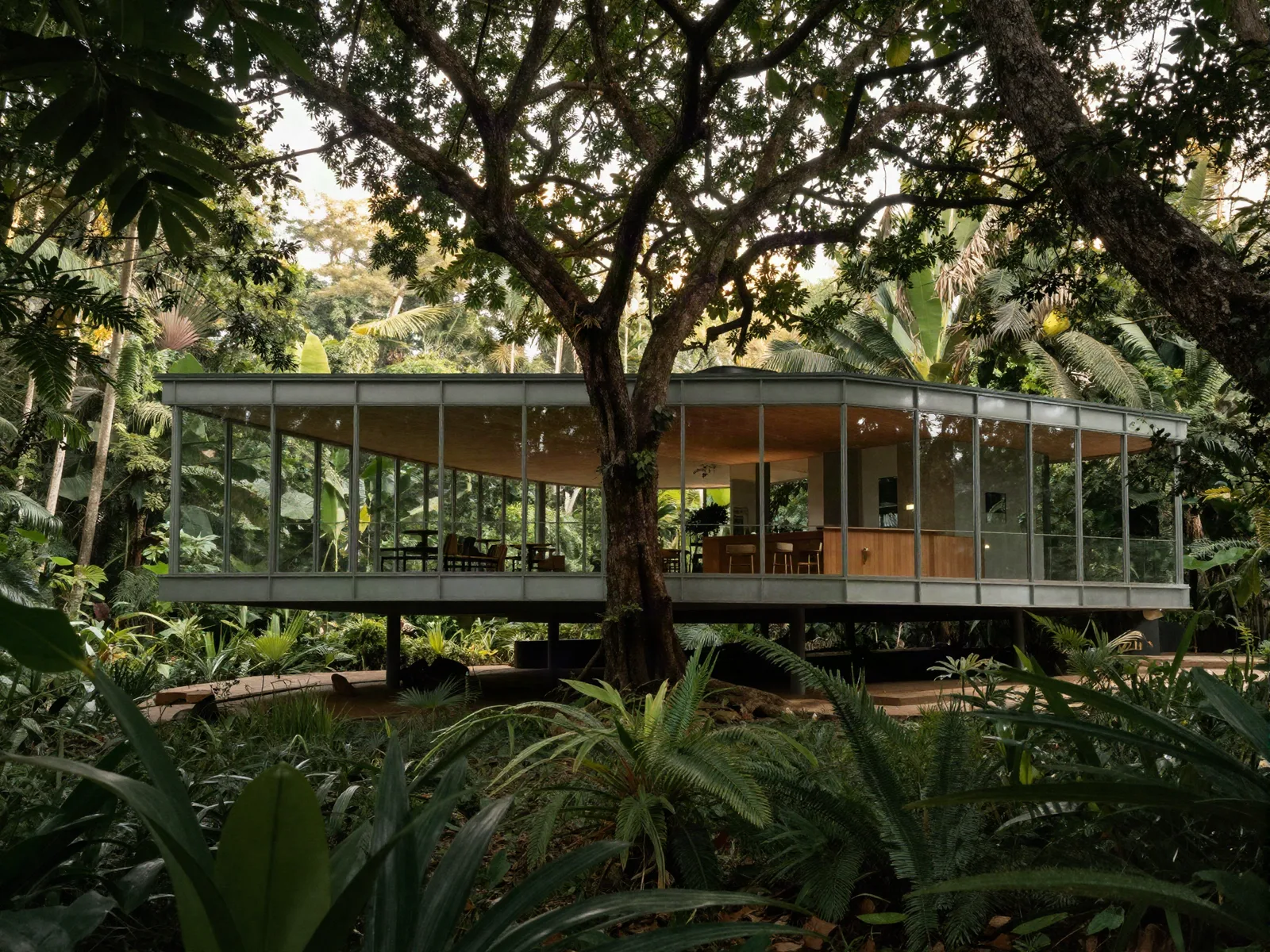 A casa em que Lina Bo Bardi não derrubou a árvore